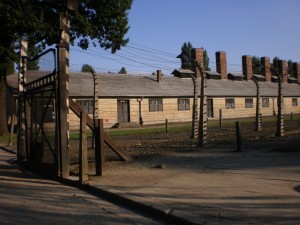 Stedentrip Krakau, bezoek Auschwitz